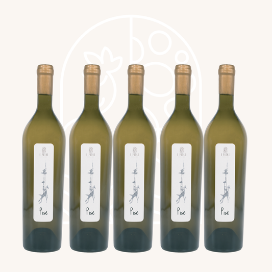 Carton de 6 Pisè Blanc
